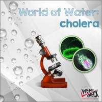 CHOLERA IN DRINKING WATER